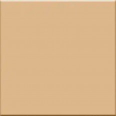 IN-Beige-20x20-1.jpg_ 